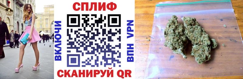 как найти закладки Шилка Канабис план